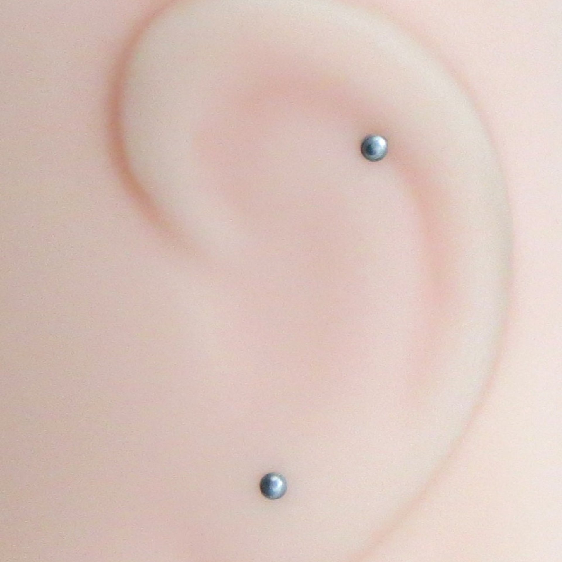 Niobium stud earrings shop