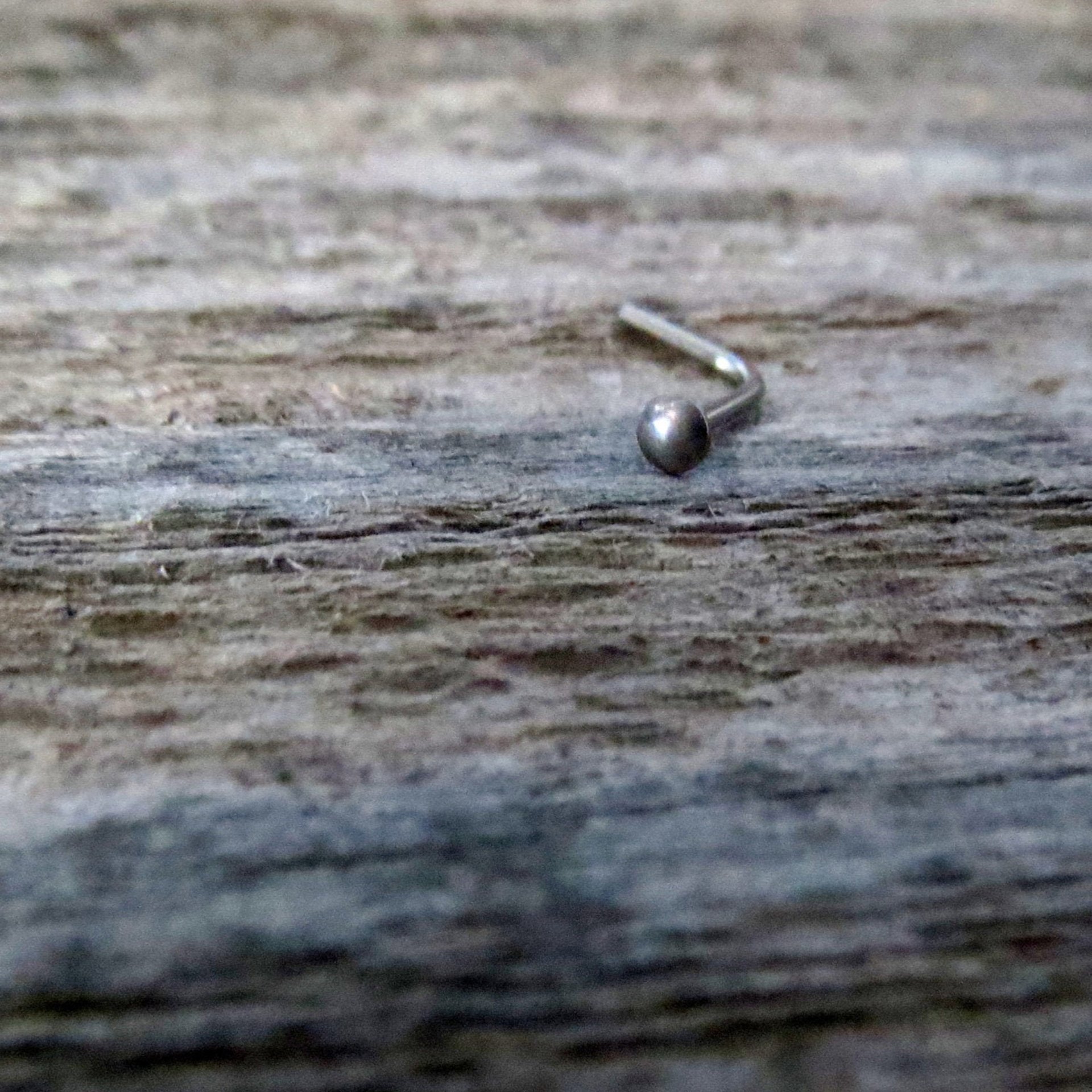 Niobium Nose Ring- Small, Flat Niobium Nose Stud, Gunmetal Grey Nose Screw, L Bend, Straight, or Fishtail - Hypoallergenic Nose Jewelry