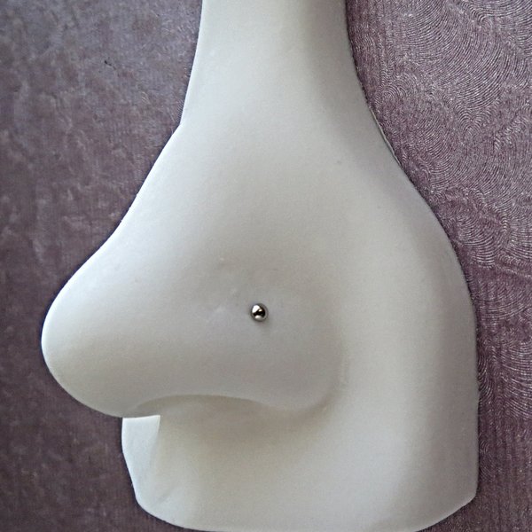 Domed Nose Stud, 316L Surgical Steel Nose Ring, Great Everyday Nose Stud for Men or Women